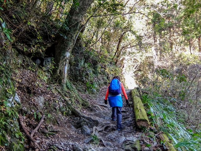 高尾山への登山道