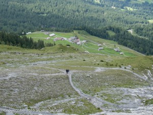 Swiss-GrindelWald020 
